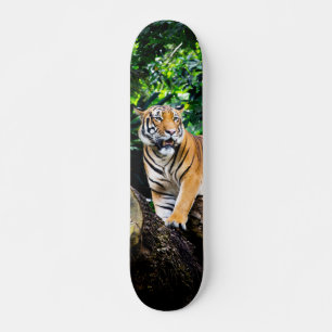Skateboard Bengal Tiger Hunter Powerful
