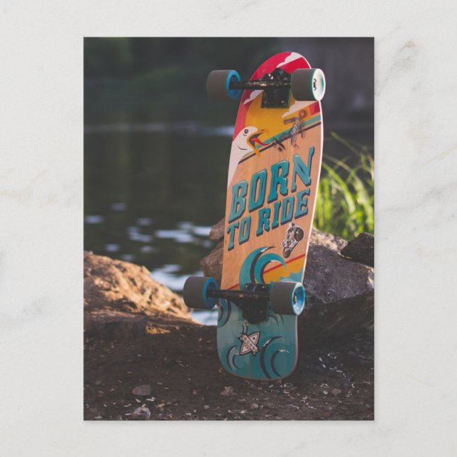 Skateboard Born To Ride Postcard (Front)