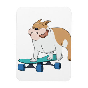 skateboard bulldog magnet