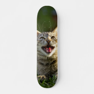 Skateboard Cat Howling in the Grass
