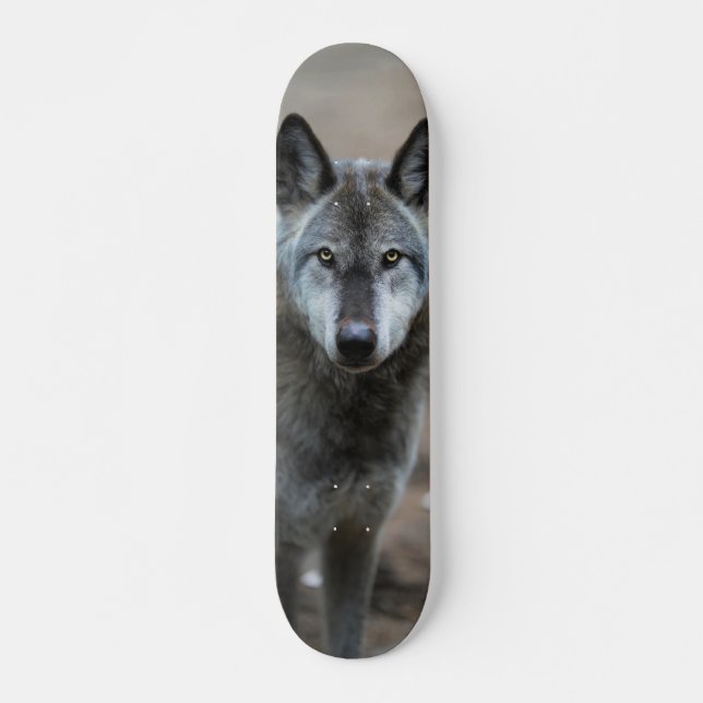 Skateboard Curious predator wild wolf dog (Front)