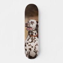 Skateboard Dalmatian Dog Sitting Outside