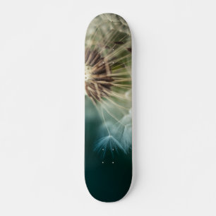 Skateboard - Dandelion Seeds