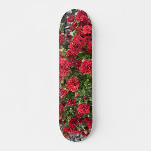 skateboard deck
