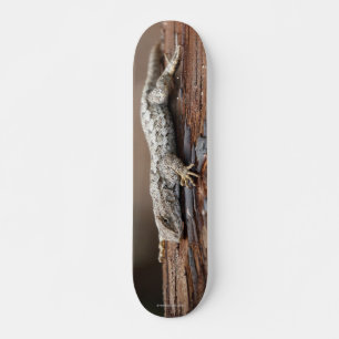 Skateboard featuring lizard