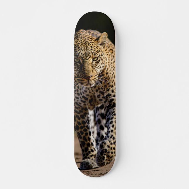 Skateboard Leopard Dangerous Predator (Front)