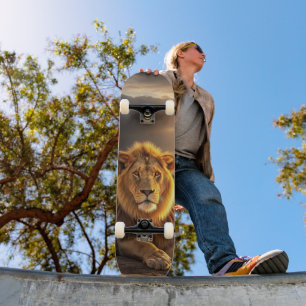 Skateboard Lion in the Wild