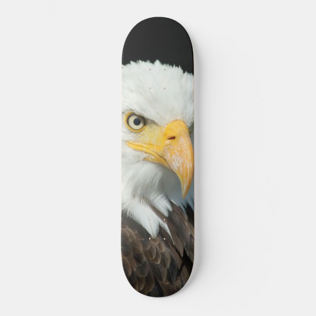 Skateboard - Nature Bird Eagle (Front)