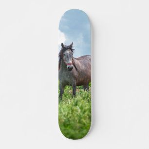 Skateboard Poderoso Gray Horse in the Field