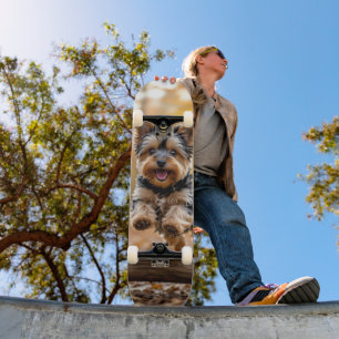 Skateboard Puppy Jumping in the Forest