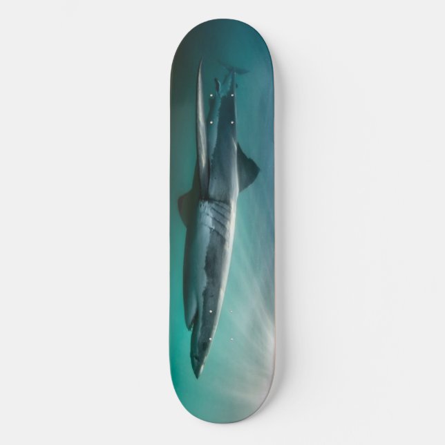 Skateboard  Shark hungry Predator. (Front)