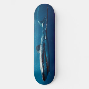 Skateboard Shark Shark Predator.