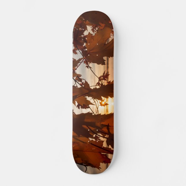 Skateboard sheets of maple (Front)