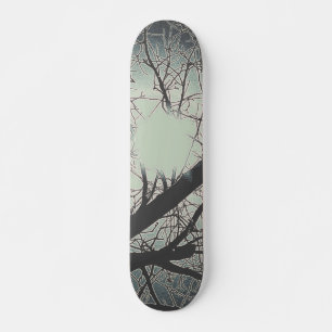 SKATEBOARD STYLE AND DESIGN