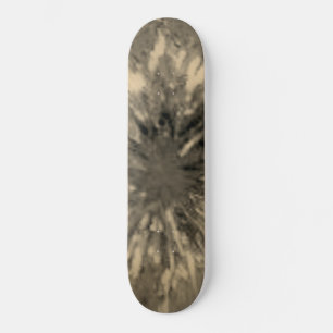 SKATEBOARD STYLE AND DESIGN