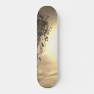 skateboard style and design