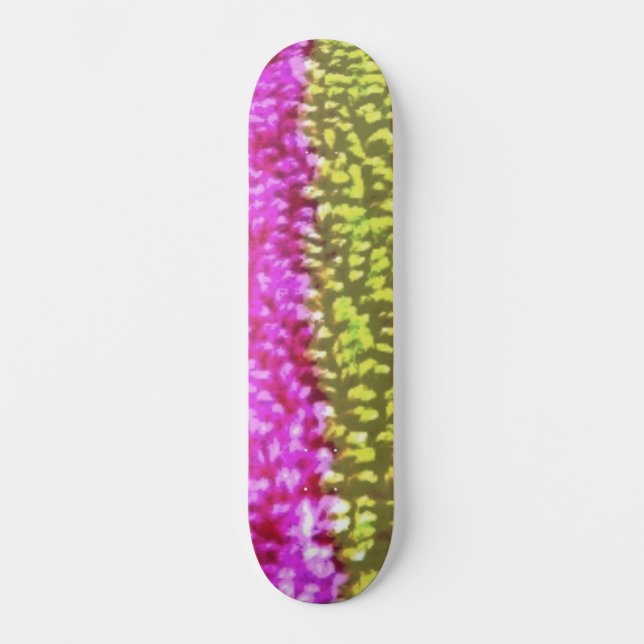 SKATEBOARD STYLE AND DESIGN (Front)