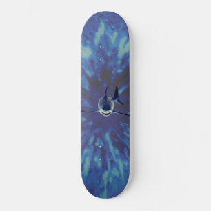 SKATEBOARD STYLE AND DESIGN