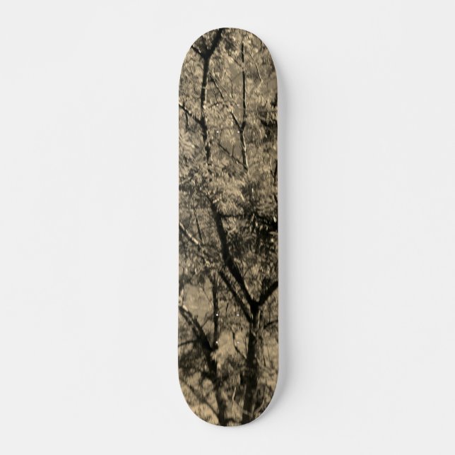 SKATEBOARD STYLE AND DESIGN (Front)