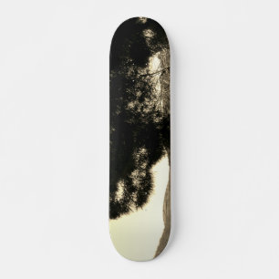 SKATEBOARD STYLE AND DESIGN