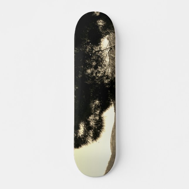 SKATEBOARD STYLE AND DESIGN (Front)