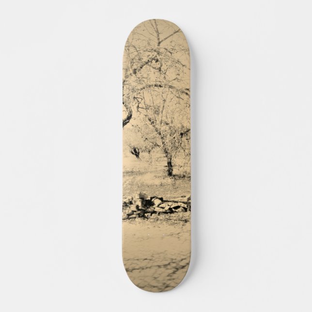 SKATEBOARD STYLE AND DESIGN (Front)