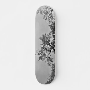 SKATEBOARD STYLE AND DESIGN