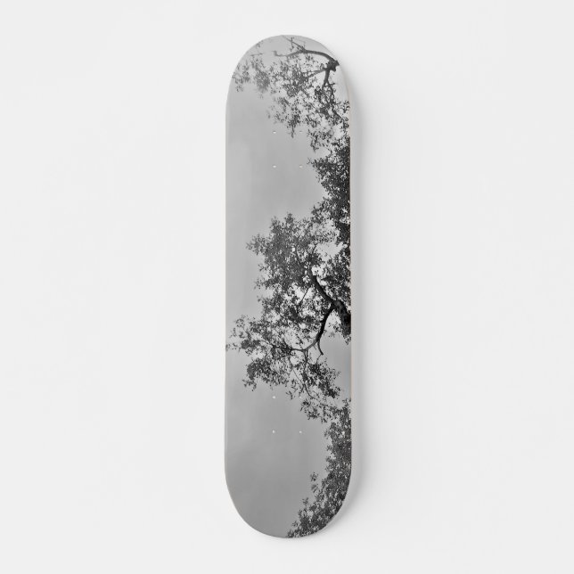 SKATEBOARD STYLE AND DESIGN (Front)