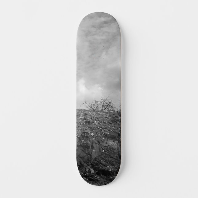 SKATEBOARD STYLE DESIGN (Front)