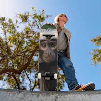 Skateboard Table Mono Macaco Observing