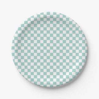 Skateboard two rad 2nd Birthday Paper Plates
