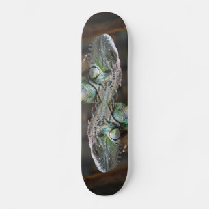 Skateboard with head of colourful Iguana Lizard