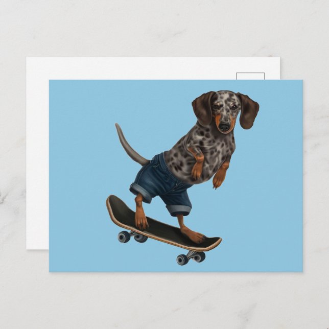 Skateboarding Dachshund  Postcard (Front/Back)