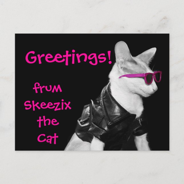 Skeezix the Cat Postcard (Front)