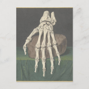  Skelet van een hand by Jan l Admiral  Holiday Postcard
