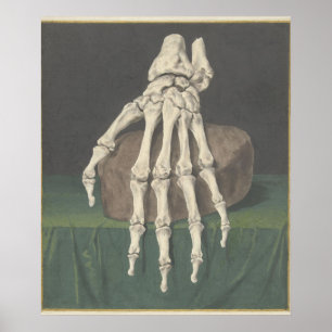 Skelet van een hand by Jan l Admiral Poster