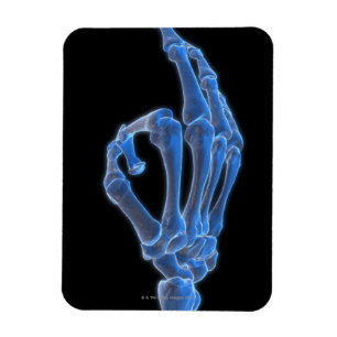 Skeletal Hand Gesture Magnet