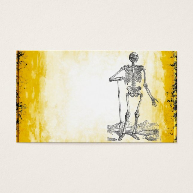 Skeleton (Front)