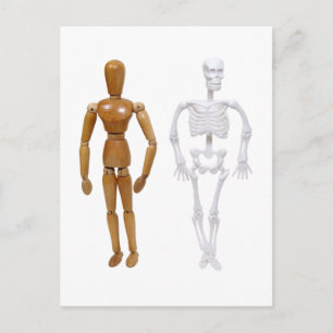 Skeleton100309 Postcard