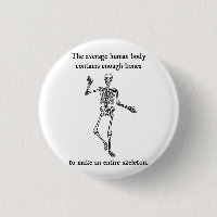 Skeleton Bones in the Average Human Body