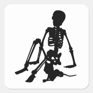 skeleton Boy and his pet cat silhouette art Square Sticker
