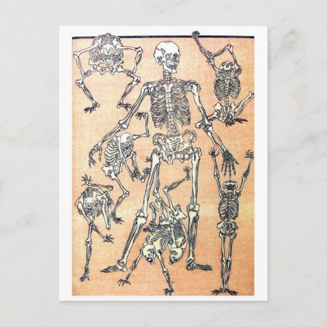 Skeleton Dance postcard (Front)