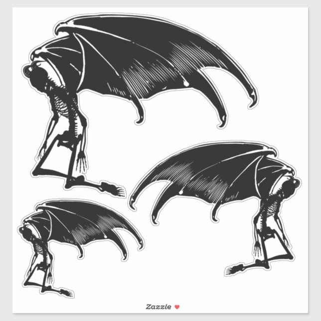 Skeleton Demon Fallen Angel Horror Goth art  (Sheet)