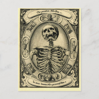 Skeleton, Goth, Mediaeval Postcard