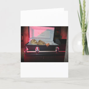 skeleton in coffin card