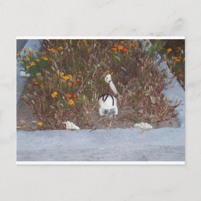 Skeleton in Marigolds Postcard (Front)