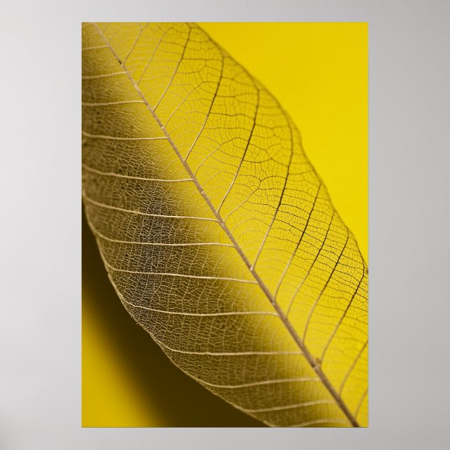 Skeleton Leaf Yellow Poster (Front)