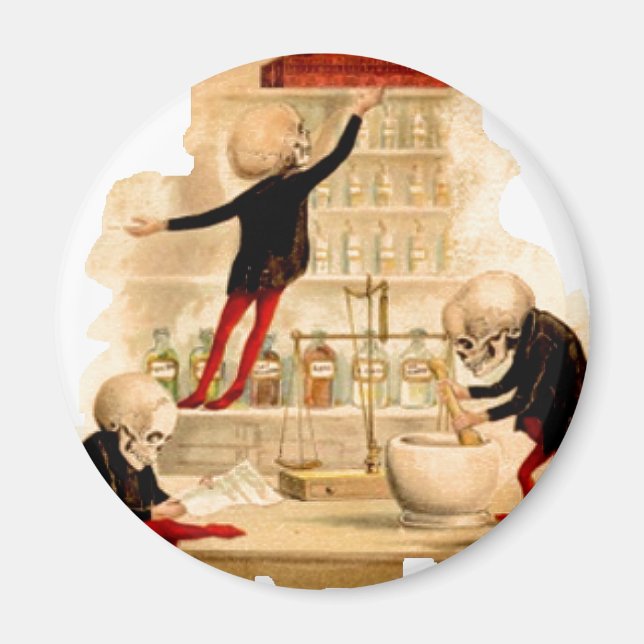 Skeleton Mad Scientists Skull Halloween Party Deco Magnet (Front)