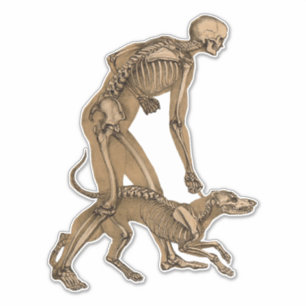 skeleton man and dog human animal anatomy art