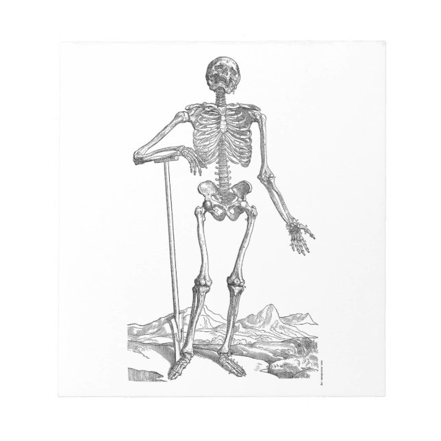 Skeleton Notepad (Front)